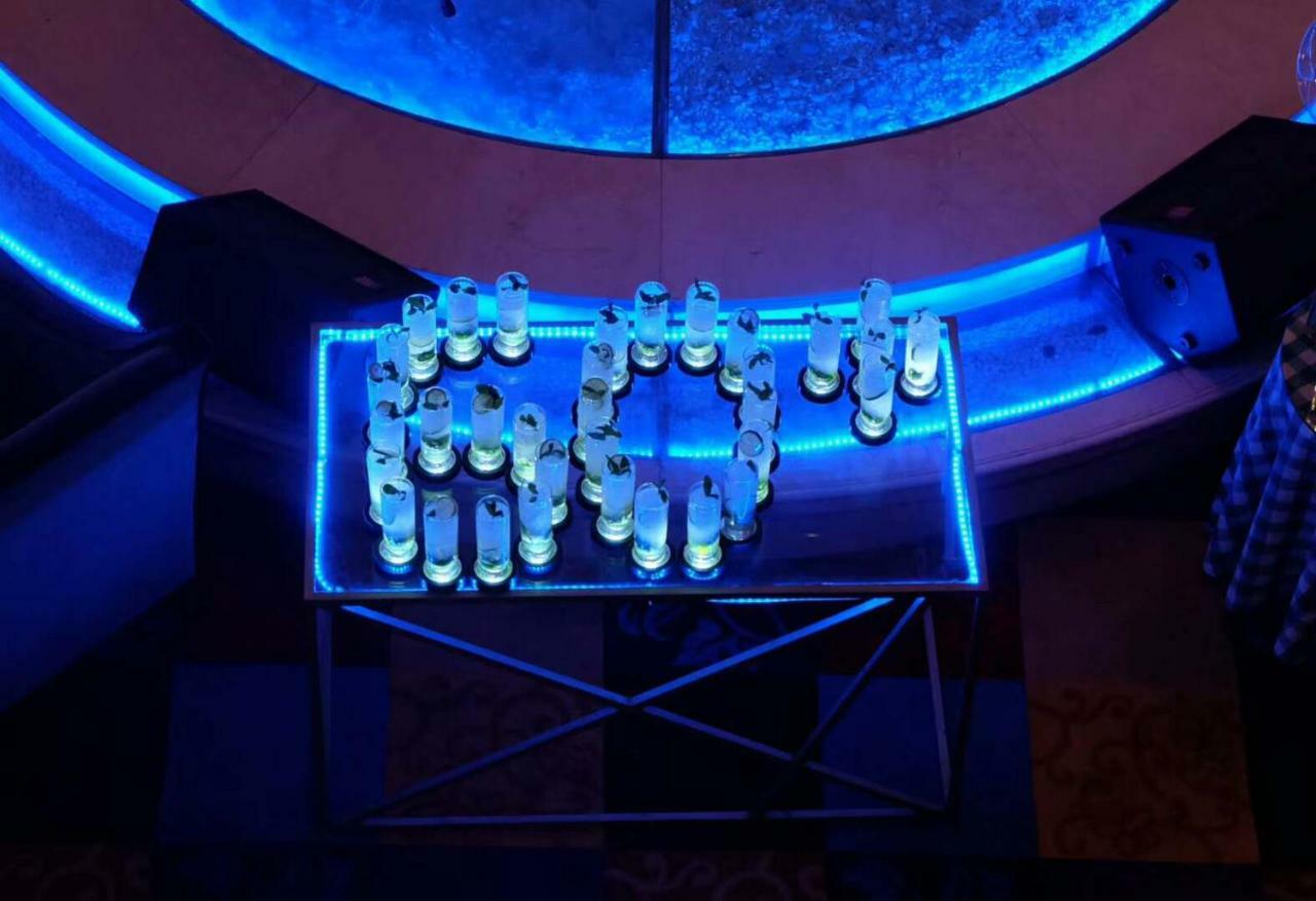 Ramada Plaza Optics Valley Hotel Wuhan Eksteriør bilde